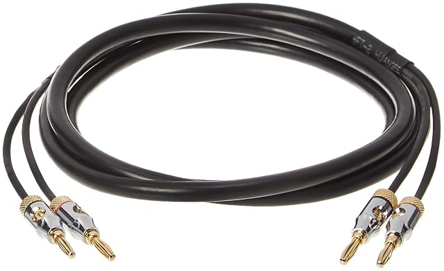Câble d’enceinte Amazon Basics 16 AWG avec embouts banane plaqués or